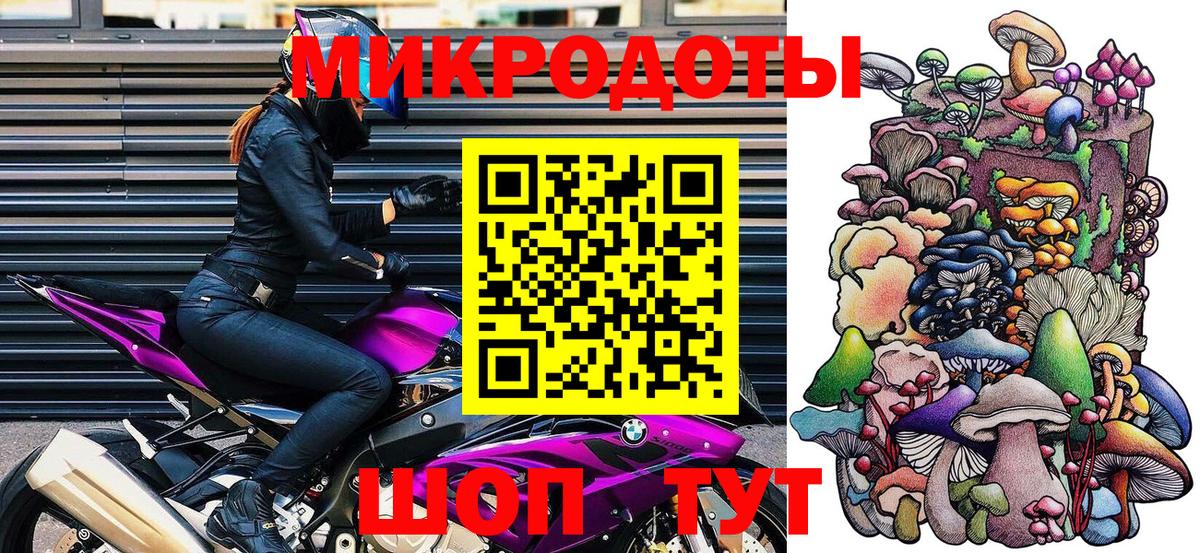 Гудермес  Галлюциногенные грибы Psilocybine cubensis  Вход с VPN 