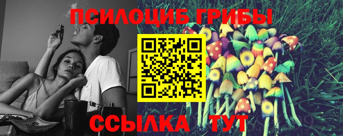Псилоцибиновые грибы Cubensis Гудермес