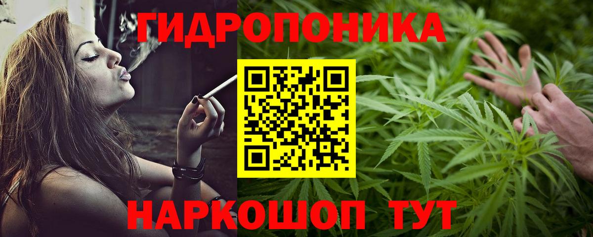 Бошки марихуана семена  Конопля OG Kush  Конопля марихуана  Вход с VPN  Гудермес  Марихуана MAZAR 